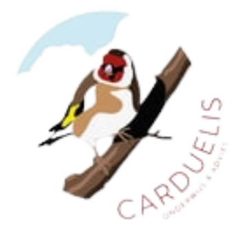 Carduelis Onderwijs & Advies